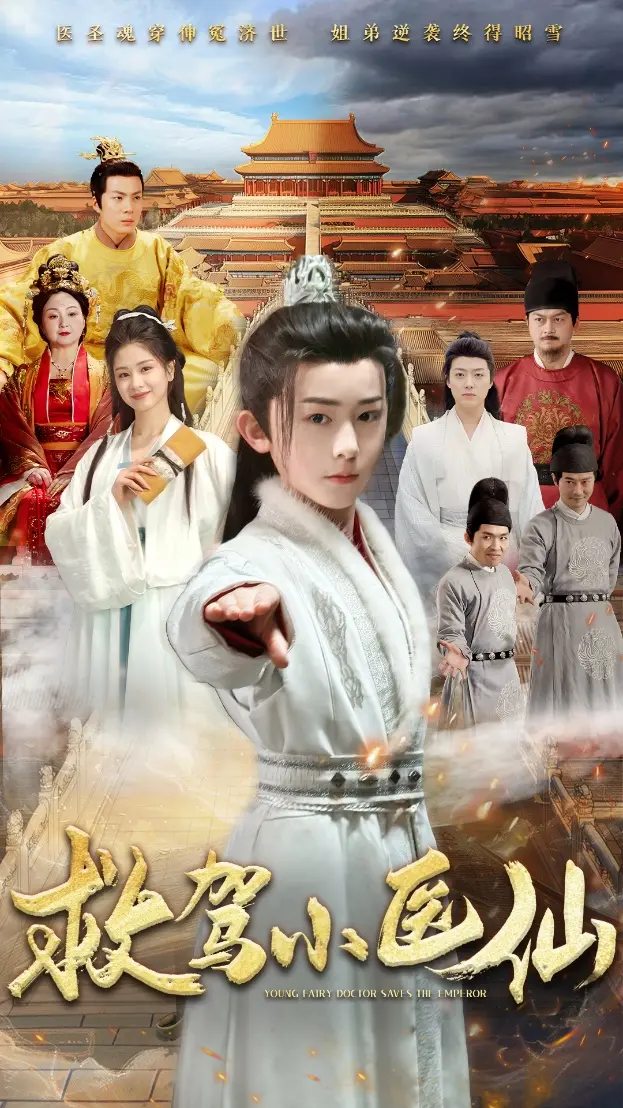 《救驾小医仙》：古装喜剧下的医者仁心与逆袭之路