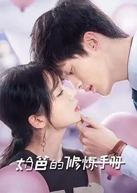 奶爸的修炼手册 海报