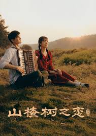 《山楂树之恋2025》：AI时代的纯爱，不变的是感动